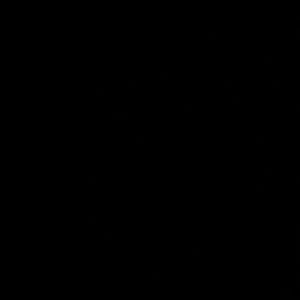 Meet your Posher, Skylar